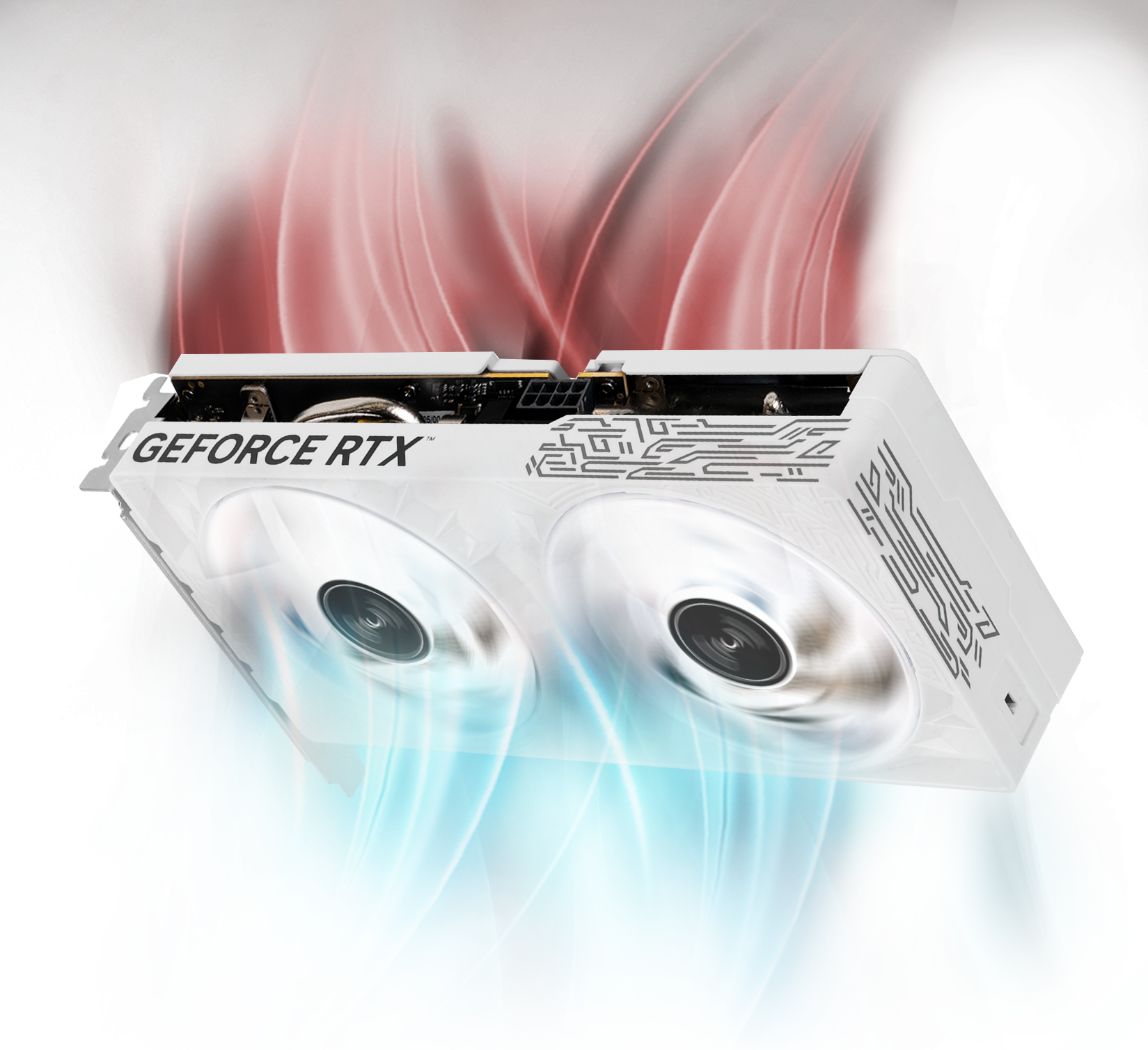 ステラルー stellaroo-j32562.jpg?mod=